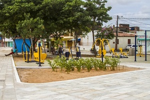 Detalhe do paisagismo